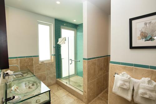 a bathroom with a glass shower and a sink at Oceanfront 5-Stars Starfish Villa, Dawn Beach, Private Pool, Secured, Concierge in Oyster Pond