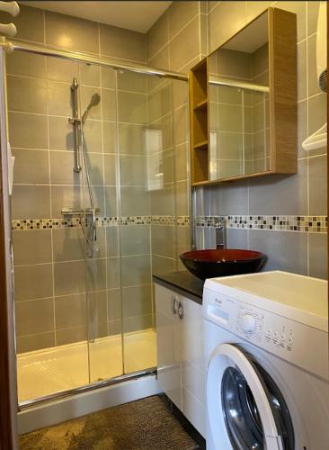 une salle de bain avec douche et machine à laver dans l'établissement Résidence Investar appartement 3, à Montluçon