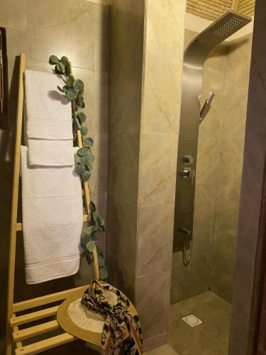 een badkamer met een douche en een plant. bij Toubacouta Lodges in Toubakouta