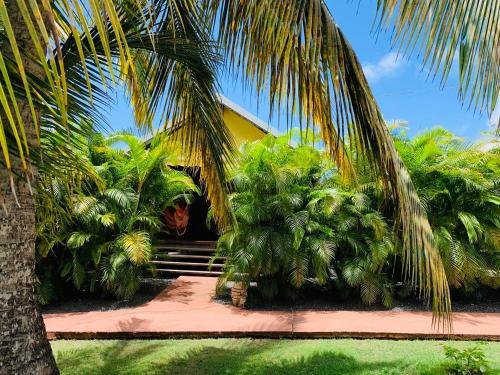 une maison avec des palmiers devant elle dans l'établissement Résidence de tourisme Domaine Saint-François, à Saint-François