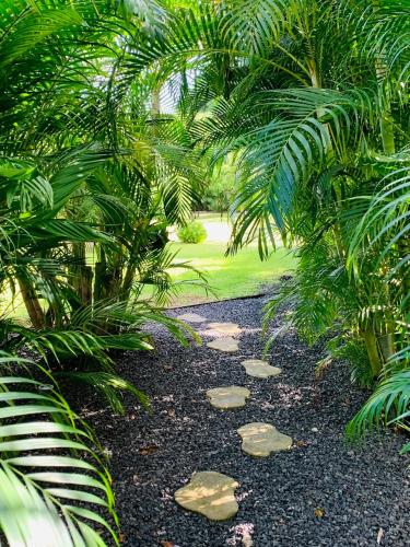 a garden with palm trees and rocks on the ground at Domaine Saint-François in Saint-François