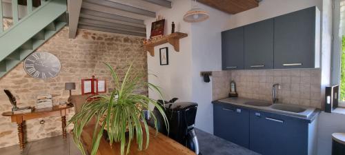 une cuisine avec des armoires bleues et une plante en pot dans l'établissement Meublé de tourisme 