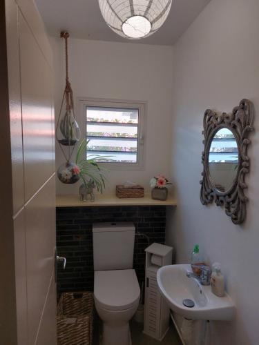 a bathroom with a toilet and a sink and a mirror at villa dans lo in Le Moule