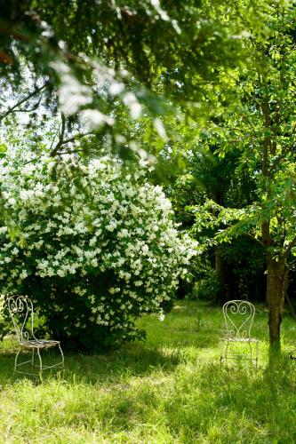 two benches sitting in the grass under a tree at Manoir des Pavements in Lisieux