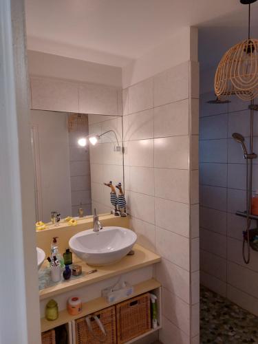 ein Bad mit einem Waschbecken und einem Spiegel in der Unterkunft villa dans lo in Le Moule