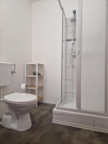 a bathroom with a toilet and a shower at Pension Bergfried in Hallstatt