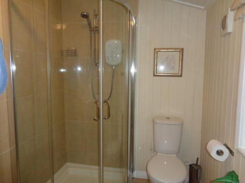 a bathroom with a shower and a toilet at Log Cabin, Conveniently Situated halfway between Stratford and Warwick in Stratford-upon-Avon