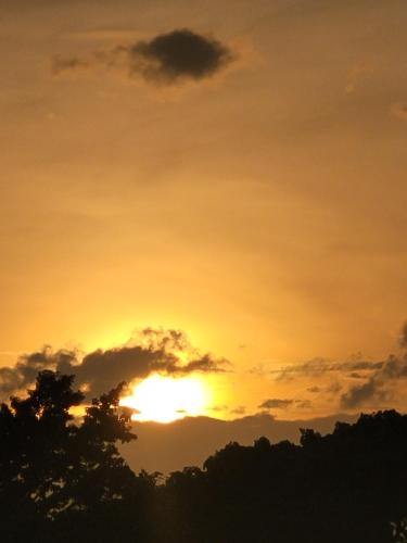 a sunset in the sky with trees in the foreground at La Vida Hostel in Puerto Princesa City