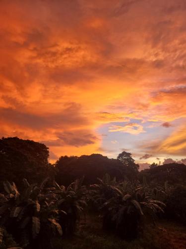 a sunset over a field with trees in the background at La Vida Hostel in Puerto Princesa City