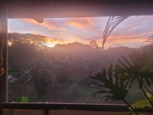 a window with a view of a garden at sunset at La Vida Hostel in Puerto Princesa City