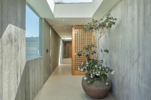 un couloir avec une plante dans un grand vase dans l'établissement 3902 Pacific Zen home, à Carmel