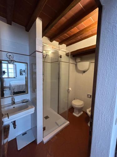 ein Bad mit einer Dusche, einem Waschbecken und einem WC in der Unterkunft B&B Borgolecchi , Lecchi in Chianti in San Sano