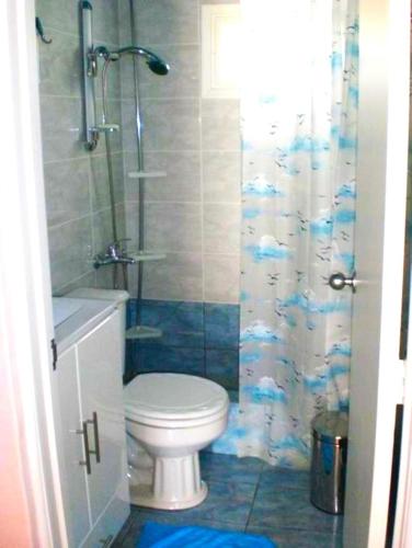 a bathroom with a toilet and a shower at Little Bit Of Heaven in Soúrpi