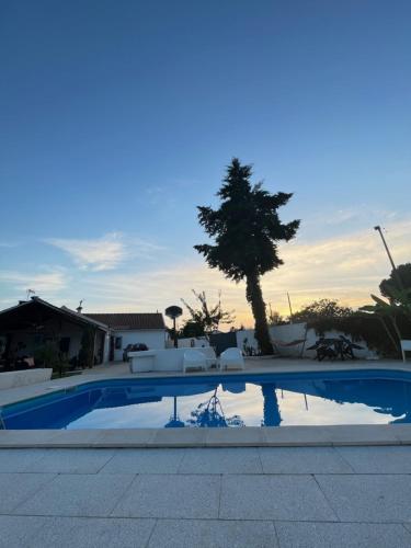 a swimming pool in a yard with a tree at Casa do Cedro no Campo in Correias