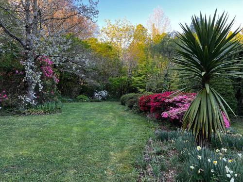 Un jardín fuera de Amaroo Guesthouse