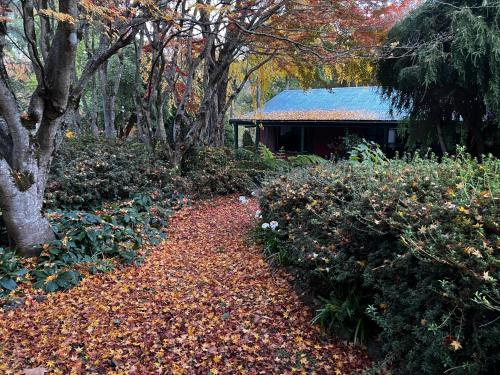 Un jardín fuera de Amaroo Guesthouse