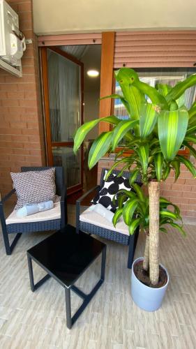 a room with two beds and a potted plant at Casa Valentina 1 in Perugia