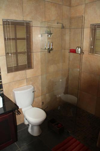 a bathroom with a toilet and a shower at White River Country Estate Self Catering Apartment in White River