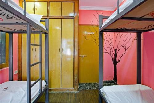 Habitación con 2 literas y un árbol pintado en la pared. en Nomadic Hostel en Udaipur