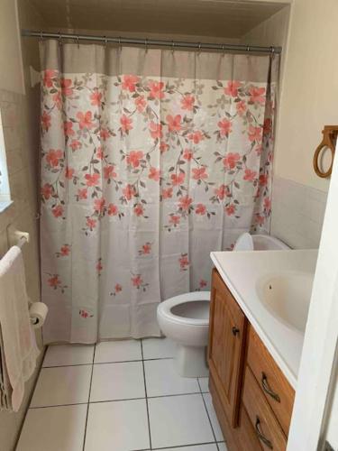 a bathroom with a toilet and a shower curtain at Little Cute Home in Beverly Hills