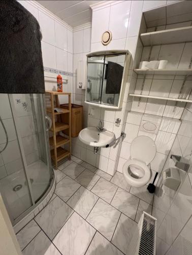 ein Bad mit einem WC, einem Waschbecken und einer Dusche in der Unterkunft Schöne Ferienwohnung in Leverkusen in Leverkusen