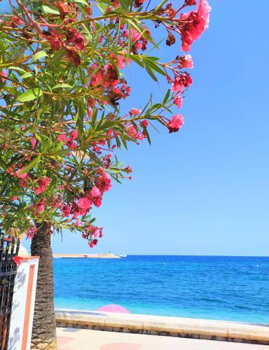 Φυσικό τοπίο κοντά σε αυτό το διαμέρισμα