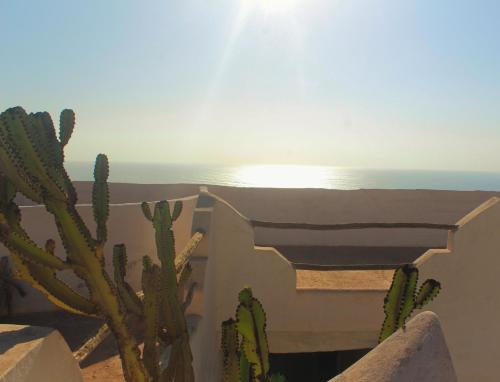 a cactus in front of a building with the ocean in the background at Riad Sahara Sunset Beach Douira Agadir in Douaïra