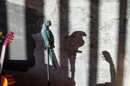 a bird sitting on a stick on a wall at LOGINN Hotel Waiblingen in Waiblingen