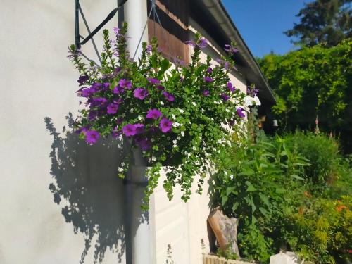 Jardín al aire libre en Logis51