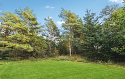 a field of grass with trees in the background at 3 Bedroom Amazing Home In Ålbæk in Ålbæk