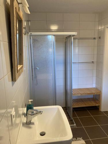 Un baño de Ahornlounge Faoug am Murtensee