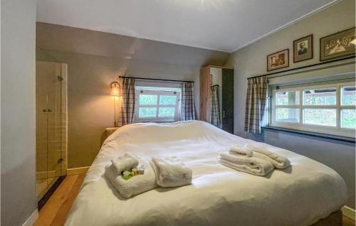 希倫多恩的住宿－3 Bedroom Gorgeous Home In Hellendoorn，一间卧室配有带毛巾的床
