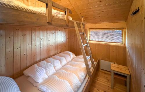 a bunk bed in a wooden cabin with a ladder at 3 Bedroom Gorgeous Home In Sjusjen in Sjusjøen