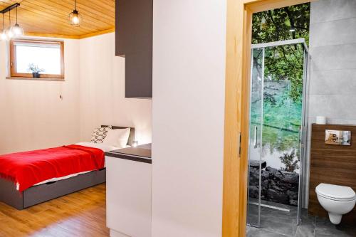 niewielka sypialnia z łóżkiem i toaletą w obiekcie Domek Kordoń SPA Jacuzzi & Sauna w Zubrzycy Górnej