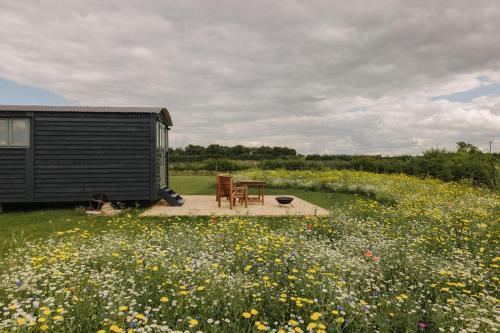 キングズ・リンにあるBarley Shepherd Hut - Snettisham Meadowsの花畑に椅子2脚とテーブルが備わるキャビン