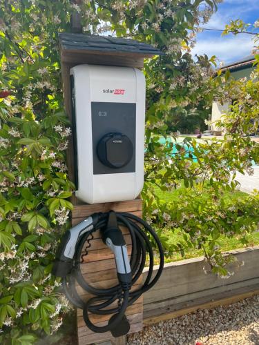 a computer monitor is hooked up to a tree at Sun studio in Capbreton