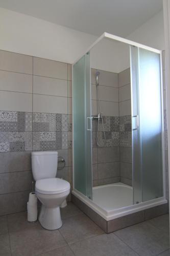uma casa de banho com um WC e uma cabina de duche em vidro. em Trdlovy Apartmány a Chata Tatranec v areálu Jaškovské krčmy em Horní Těrlicko