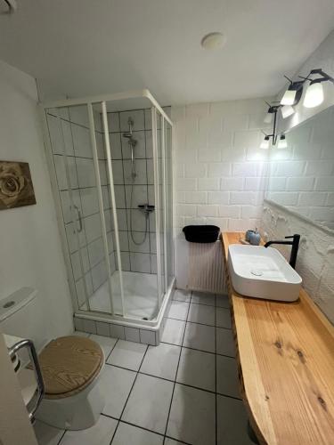 een badkamer met een douche, een wastafel en een toilet bij Het Houwershuuske in Reijmerstok