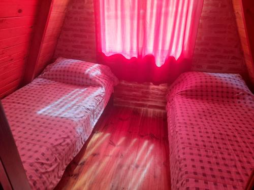 Легло или легла в стая в Altos del torreon