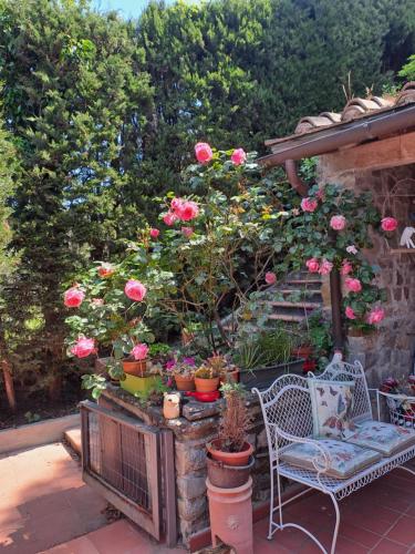 a garden with pink roses in pots and a chair at B&B La Dimora di Alida in Fiesole