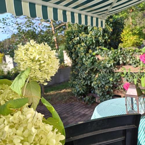 a table with a bunch of flowers on a patio at Pension Mark in Hoyerswerda