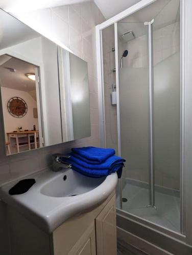 une salle de bain avec un lavabo et une douche dans l'établissement Studio calme et cosy, à Caen