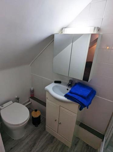 La salle de bains est pourvue de toilettes, d'un lavabo et d'un miroir. dans l'établissement Studio calme et cosy, à Caen