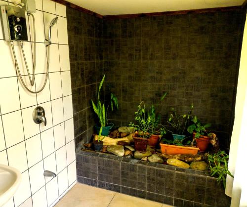 uma casa de banho com vasos de plantas numa parede de azulejos em Cabinas Agua Luna (Frente al Mar) em Puerto Jiménez
