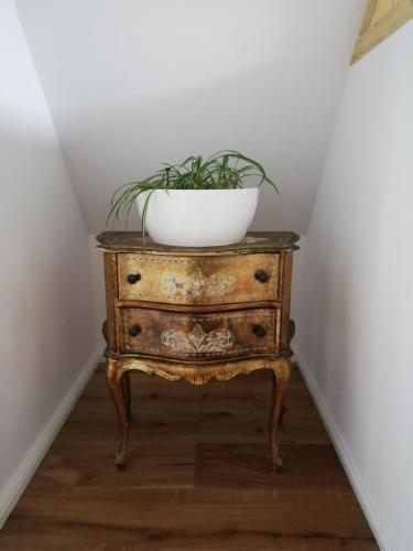 a bowl on top of a dresser with a plant on it at Ferienhaus am Kuhstall in Bad Münstereifel