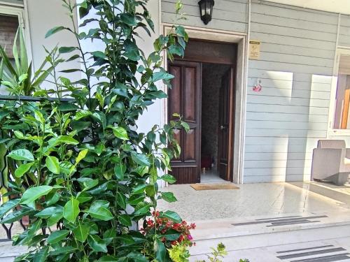a door to a house with a bush next to it at VILLA ESMERALDA in Pozzilli