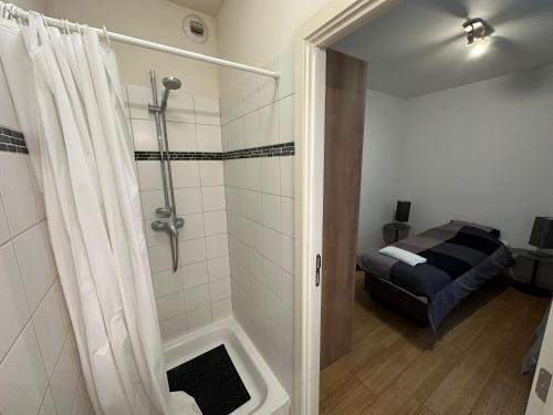 a bathroom with a shower and a bed at 3 Bedroom Apartment in City Center with Balcony View in Brussels