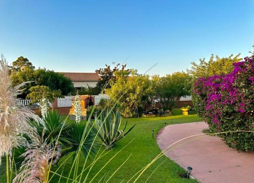 un jardín con plantas y flores y una pasarela en HAUT VILLA MESANGES EN BORD DE MER !, en Lucciana