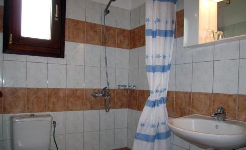 a bathroom with a shower and a toilet and a sink at Tilos Fantasy in Livadia