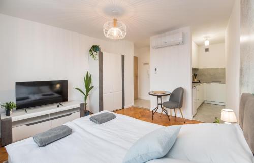 1 Schlafzimmer mit 2 Betten und einem Flachbild-TV in der Unterkunft Apartament Dworcowa 24 in Gliwice
